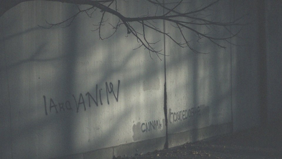 Jakie są czynniki ryzyka wystąpienia schizofrenii?