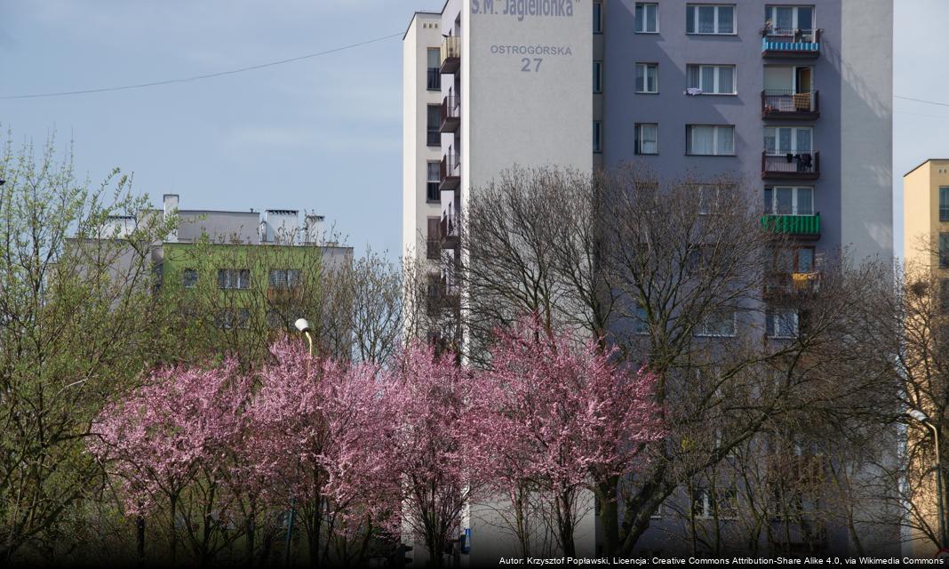 Sukcesy sosnowieckich karateka na Mistrzostwach Polski